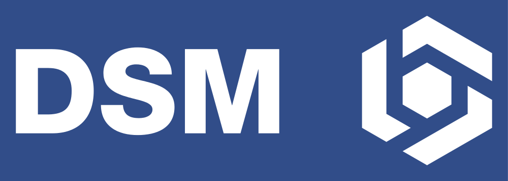 DSM Logo